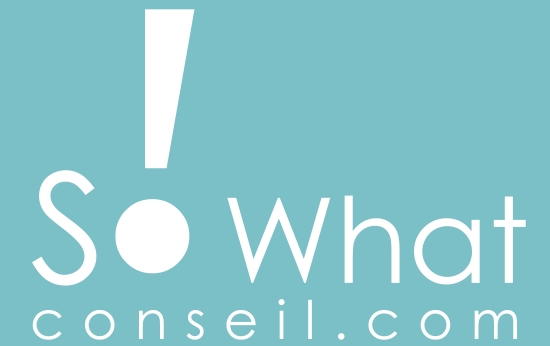 logo de l'agence de communication 360 So What Conseil