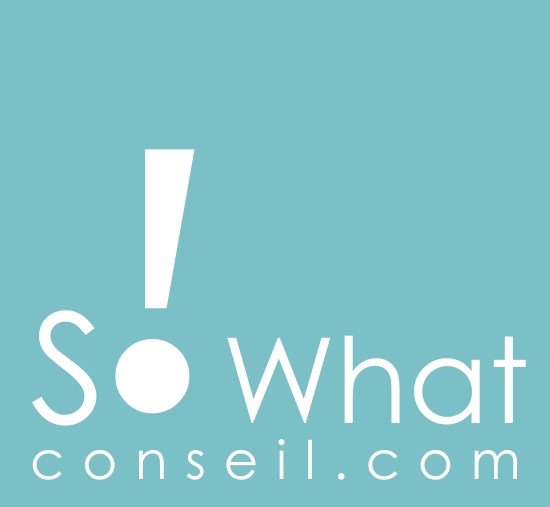 logo de l'agence de communication 360 So What Conseil