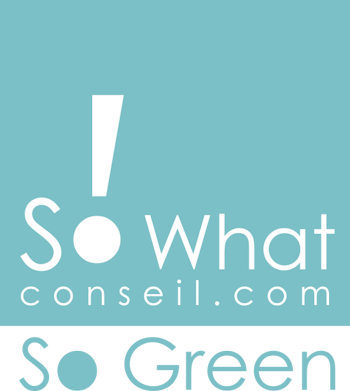 So What Conseil